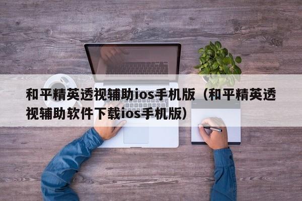 和平精英透视辅助ios手机版（和平精英透视辅助软件下载ios手机版）